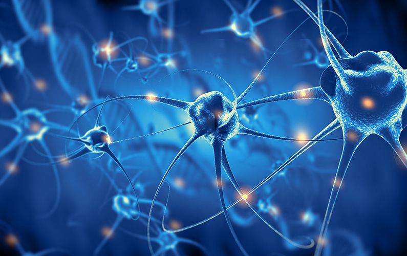 active-nerve-cells