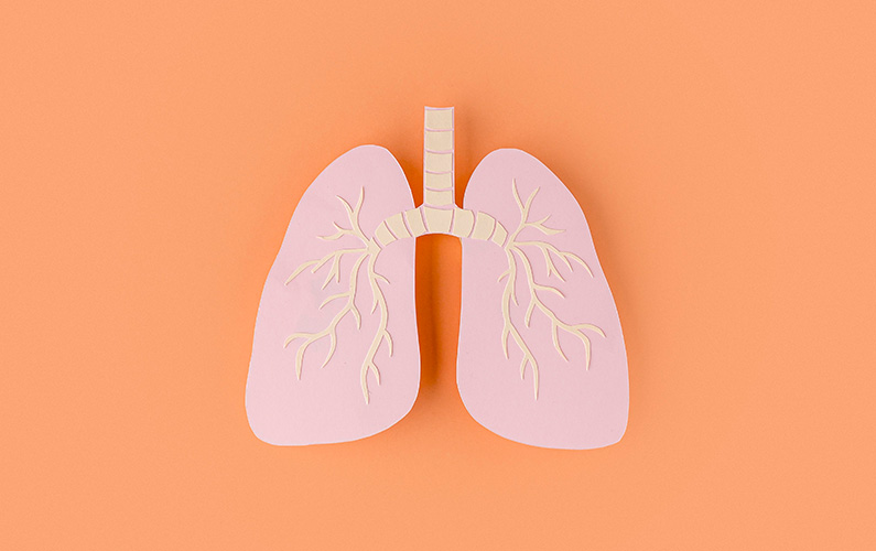 paper-made-lungs-isolated-on-orange